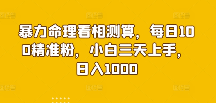 暴力命理看相测算，每日100精准粉，小白三天上手，日入1000-蓝悦项目网