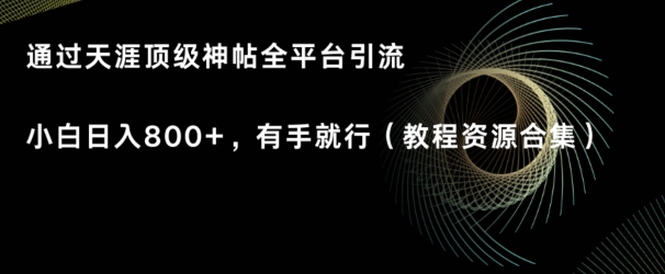 天涯顶级神帖项目，全平台引流小白日入800+，有手就行(内含教程资源合集)-蓝悦项目网