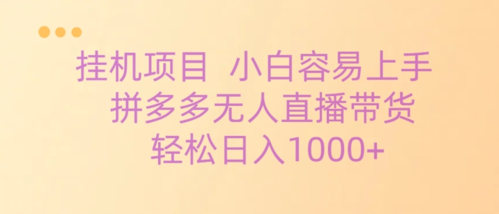 挂机项目拼多多无人直播带货，轻松日入1000+-蓝悦项目网