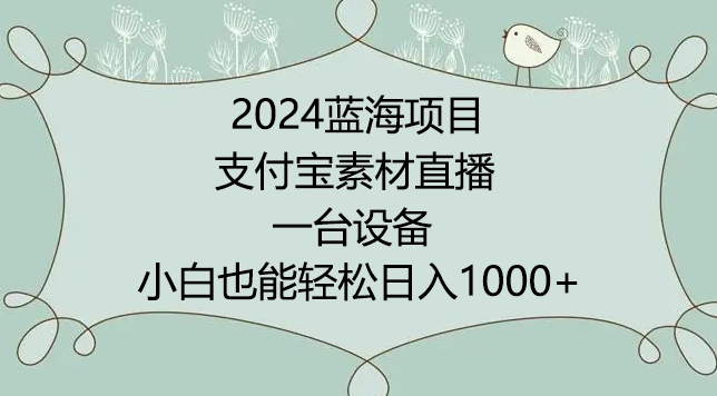 2024年蓝海项目，支付宝素材直播，无需出境，小白也能日入1000+ ，实操教程【揭秘】-蓝悦项目网