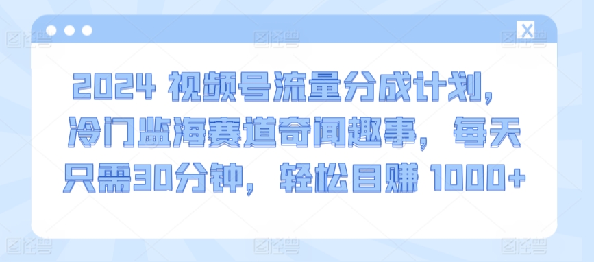 2024视频号流量分成计划，冷门监海赛道奇闻趣事，每天只需30分钟，轻松目赚 1000+【揭秘】-蓝悦项目网