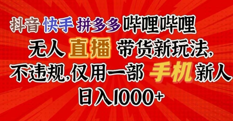 抖音快手拼多多哔哩哔哩无人直播带货新玩法，不违规，仅用一部手机新人日入1000+-蓝悦项目网