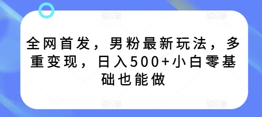 全网首发，男粉最新玩法，多重变现，日入500+小白零基础也能做-蓝悦项目网