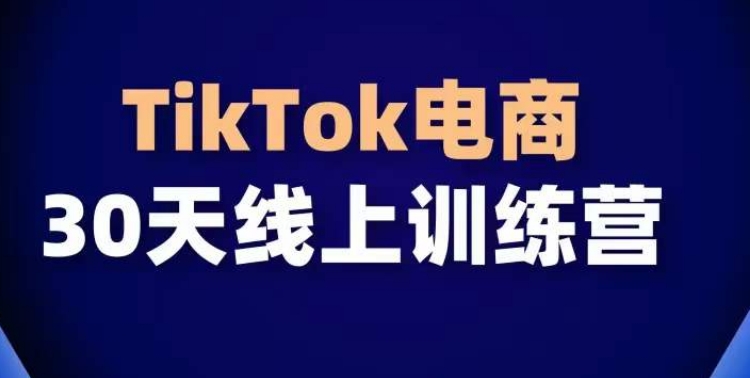 TikTok电商带货30天线上课，不可错过的全球流量洼地！-蓝悦项目网