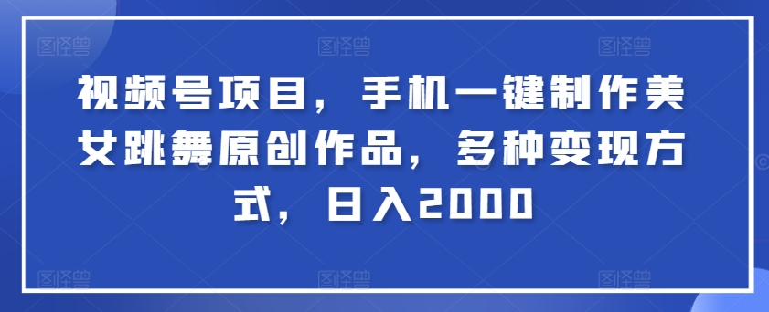 视频号项目，手机一键制作美女跳舞原创作品，多种变现方式，日入2000-蓝悦项目网