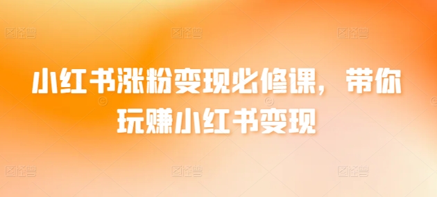 小红书涨粉变现必修课，带你玩赚小红书变现-蓝悦项目网