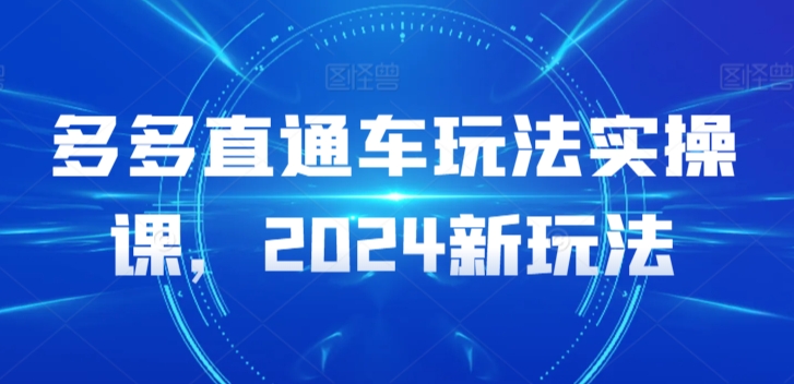 多多直通车玩法实操课，2024新玩法-蓝悦项目网