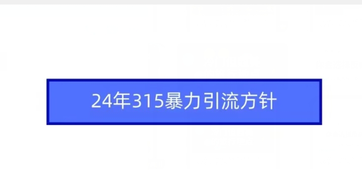 24年315暴力引流方针-蓝悦项目网