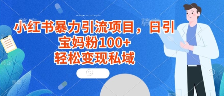 小红书暴力引流项目，日引宝妈粉100+，轻松变现私域-蓝悦项目网