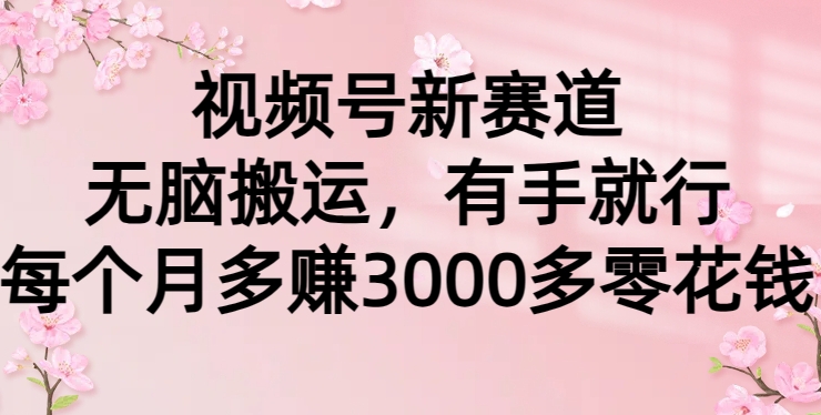 视频号新赛道，无脑搬运，有手就行，每个月多赚3000多零花钱-蓝悦项目网