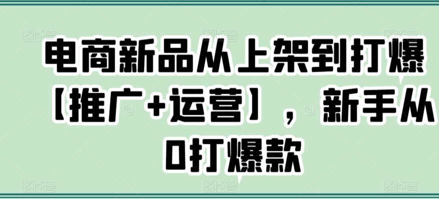 电商新品从上架到打爆【推广+运营】，新手从0打爆款-蓝悦项目网