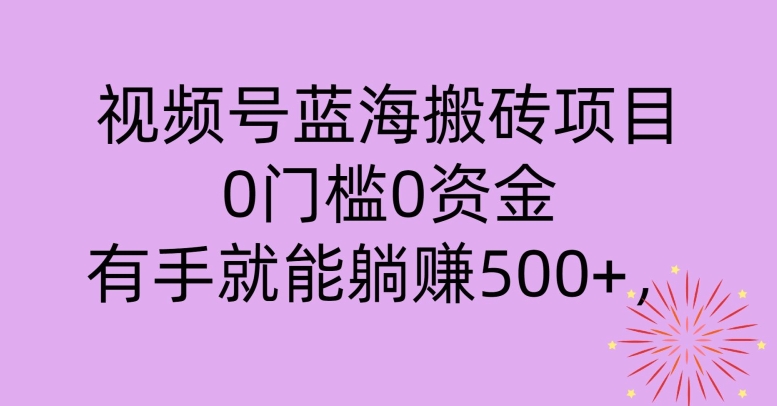 视频号蓝海搬砖项目，0门槛0资金，小白轻松上手，一天30分钟日入500+，堪比捡钱-蓝悦项目网