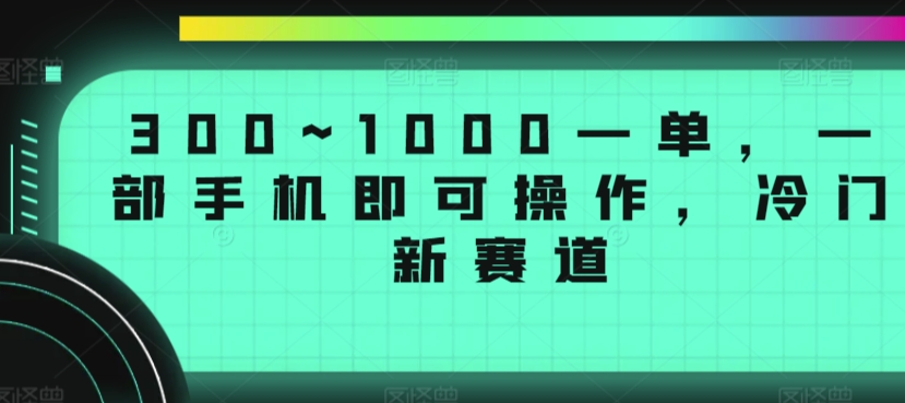 300~1000一单，一部手机即可操作，冷门新赛道-蓝悦项目网