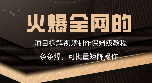 火爆全网的项目拆解类视频如何制作，条条爆，保姆级教程-蓝悦项目网