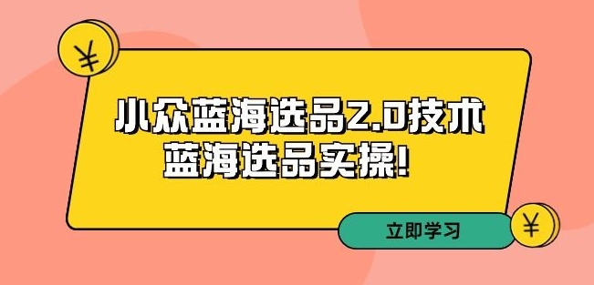 拼多多培训第33期：小众蓝海选品2.0技术-蓝海选品实操！-蓝悦项目网