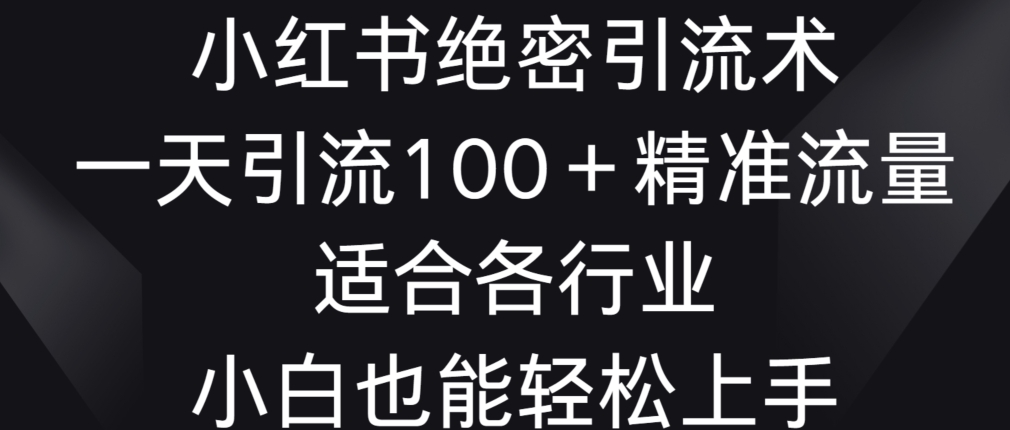 小红书绝密引流术，一天引流100+精准流量，适合各个行业，小白也能轻松上手【揭秘】-蓝悦项目网