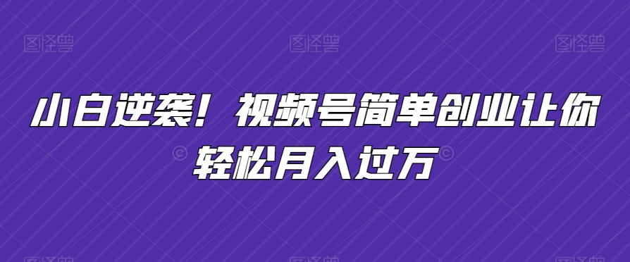 小白逆袭！视频号简单创业让你轻松月入过万-蓝悦项目网