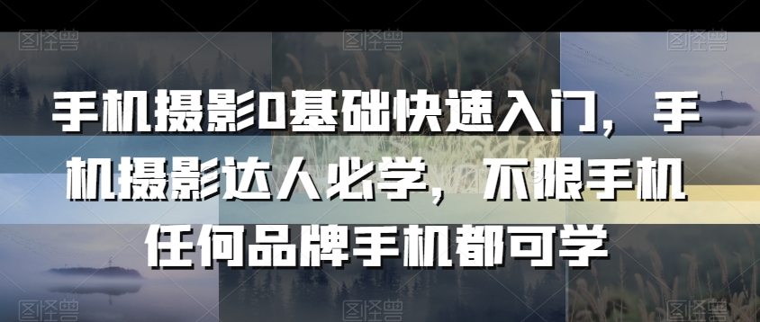 手机摄影0基础快速入门，手机摄影达人必学，不限手机任何品牌手机都可学-蓝悦项目网