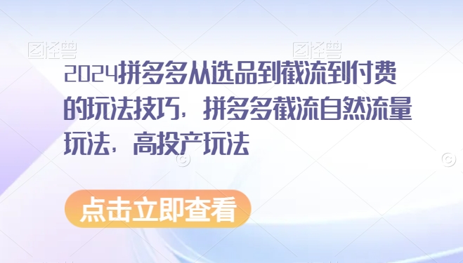 2024拼多多从选品到截流到付费的玩法技巧，拼多多截流自然流量玩法，高投产玩法-蓝悦项目网