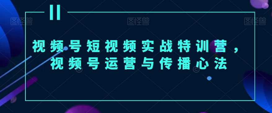 视频号短视频实战特训营，视频号运营与传播心法-蓝悦项目网