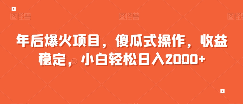 年后爆火项目，傻瓜式操作，收益稳定，小白轻松日入2000+-蓝悦项目网