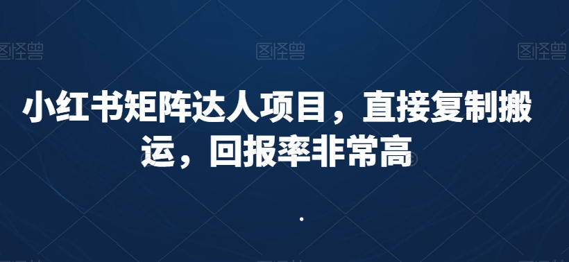 小红书矩阵达人项目，直接复制搬运，回报率非常高-蓝悦项目网