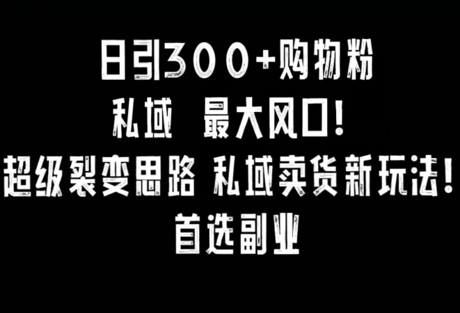 日引300+购物粉，超级裂变思路，私域卖货新玩法，小红书首选副业【揭秘】-蓝悦项目网