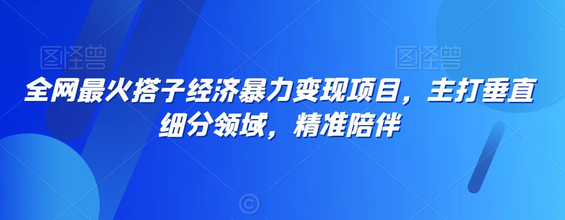 全网最火搭子经济暴力变现项目，主打垂直细分领域，精准陪伴【揭秘】-蓝悦项目网