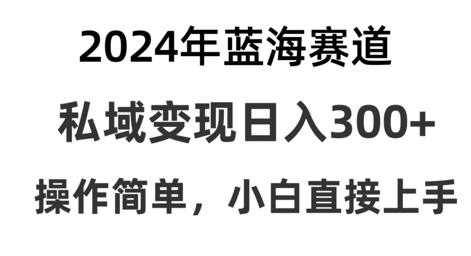 2024抖音蓝海赛道，私域变现日入300+，操作简单，每年只需一小时，纯小白可直接上手-蓝悦项目网