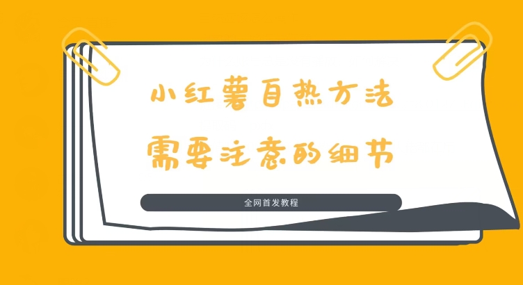 价值1980的小红书自热玩法，流量大佬都在用-蓝悦项目网