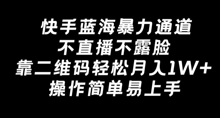 快手蓝海暴力通道，不直播不露脸，靠二维码轻松月入1W+，操作简单易上手-蓝悦项目网