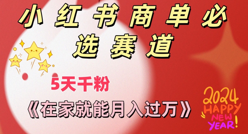 做小红书商单，一定要选这个赛道，互动率非常高，在家就能月入过万-蓝悦项目网