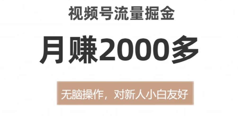 视频号流量掘金，月赚2000多，无脑操作，对新人小白友好-蓝悦项目网