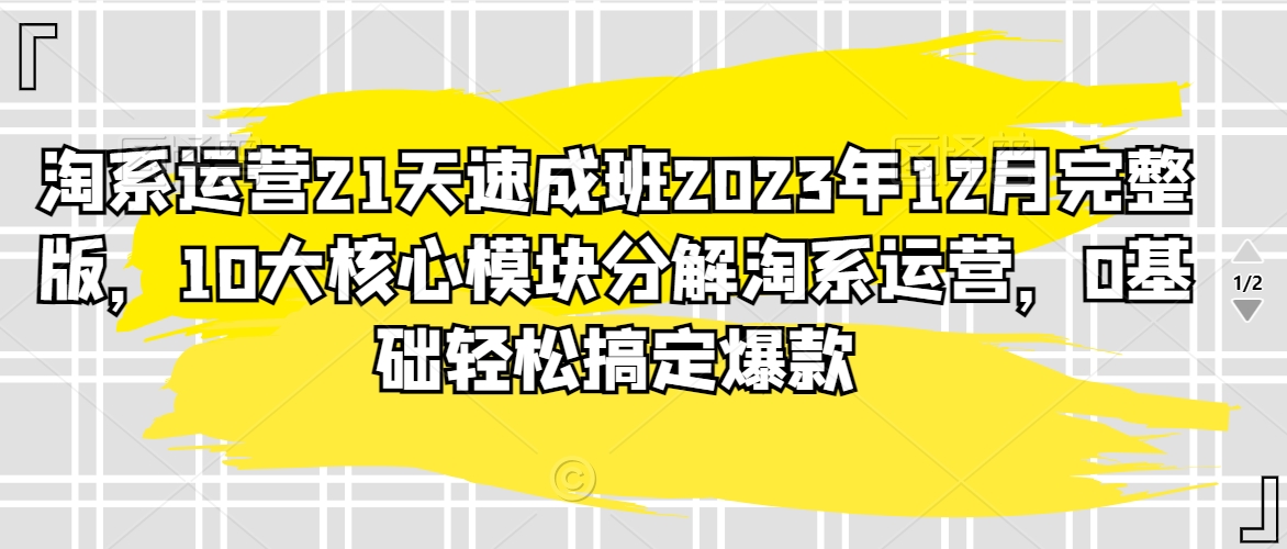 淘系运营21天速成班2023年12月完整版，10大核心模块分解淘系运营，0基础轻松搞定爆款-蓝悦项目网