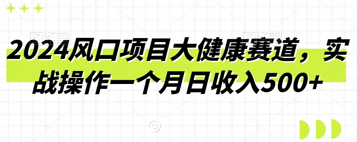 2024风口项目大健康赛道，实战操作一个月日收入500+-蓝悦项目网