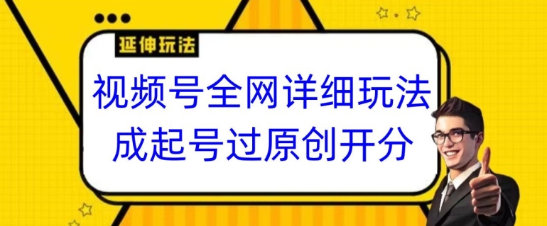 视频号全网最详细玩法，起号过原创开分成，单号日入300+【揭秘】-蓝悦项目网