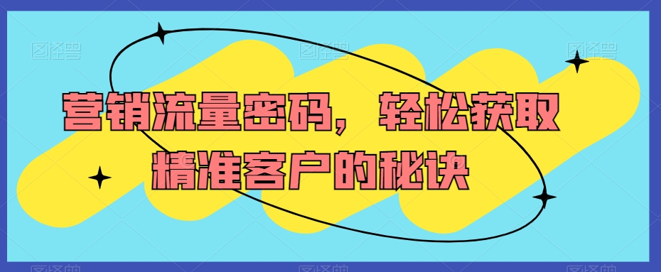 营销流量密码，轻松获取精准客户的秘诀-蓝悦项目网