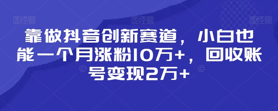 靠做抖音创新赛道，小白也能一个月涨粉10万+，回收账号变现2万+【揭秘】-蓝悦项目网