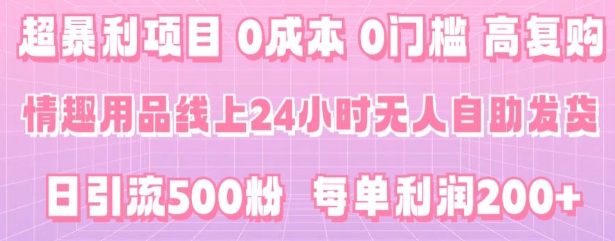 超暴利项目，情趣用品线上24小时-无人自助发货，0成本，0门槛，高复购-蓝悦项目网