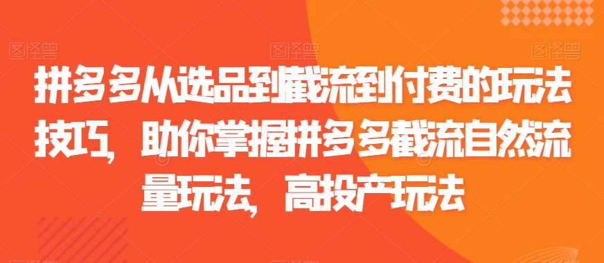 拼多多从选品到截流到付费的玩法技巧，助你掌握拼多多截流自然流量玩法，高投产玩法-蓝悦项目网