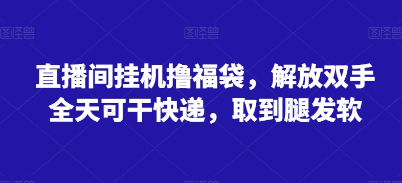 直播间挂机撸福袋，解放双手全天可干快递，取到腿发软-蓝悦项目网