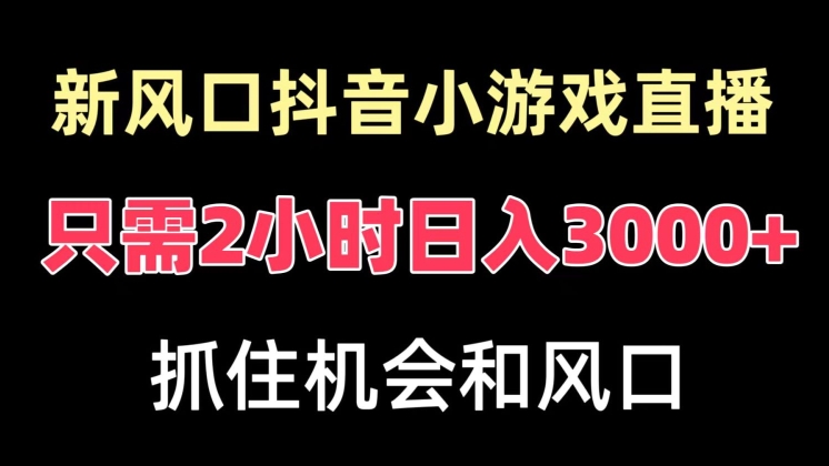 新风口抖音小游戏直播，每天只需2小时，日入3000+，小白直接上手-蓝悦项目网