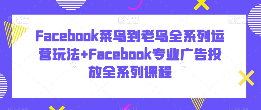 Facebook菜鸟到老鸟全系列运营玩法+Facebook专业广告投放全系列课程-蓝悦项目网