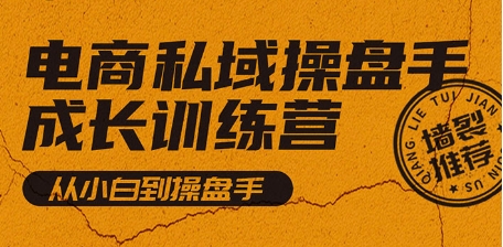 电商私域操盘手成长训练营（自学班），从小白到操盘手-蓝悦项目网