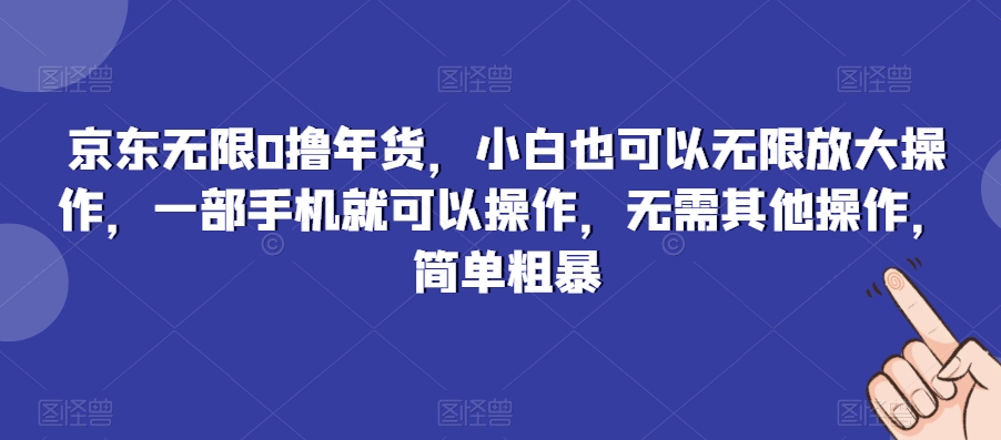 京东无限0撸年货，小白也可以无限放大操作，一部手机就可以操作，无需其他操作，简单粗暴-蓝悦项目网