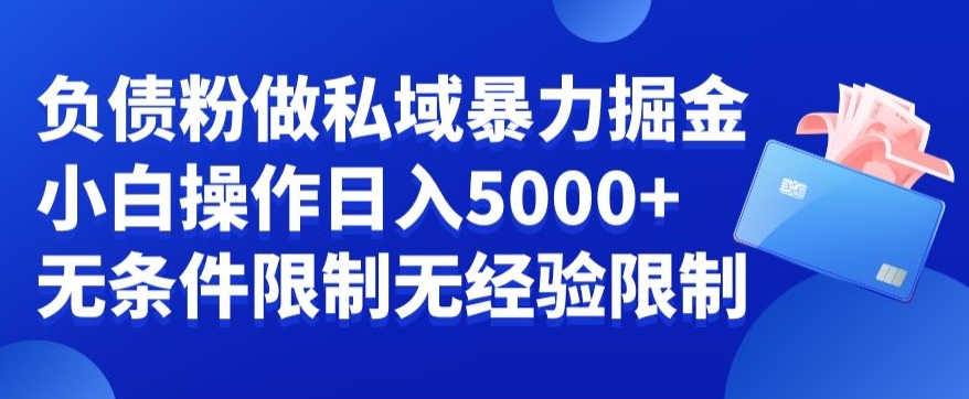 负债粉私域暴力掘金，小白操作入5000，无经验限制，无条件限制【揭秘】-蓝悦项目网