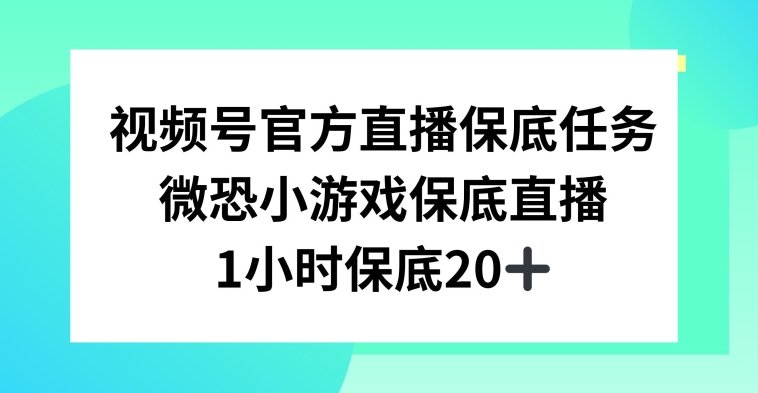 视频号直播任务，微恐小游戏，1小时20+【揭秘】-蓝悦项目网