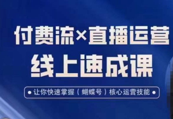 视频号付费流实操课程，付费流✖️直播运营速成课，让你快速掌握视频号核心运营技能-蓝悦项目网