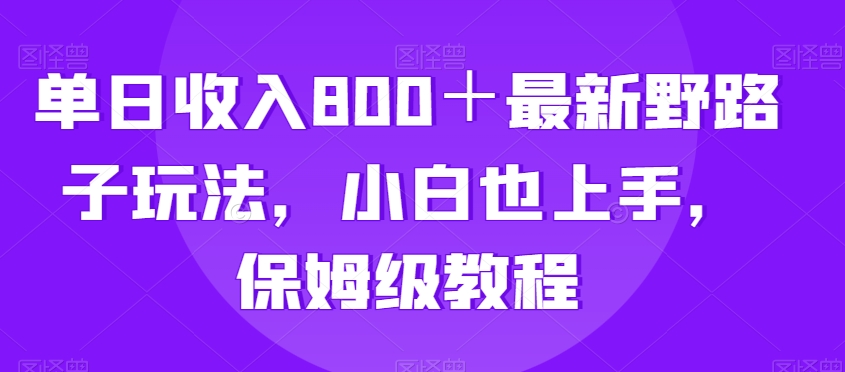 单日收入800＋最新野路子玩法，小白也上手，保姆级教程-蓝悦项目网