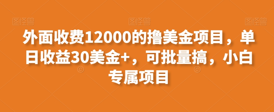 外面收费12000的撸美金项目，单日收益30美金+，可批量搞，小白专属项目-蓝悦项目网